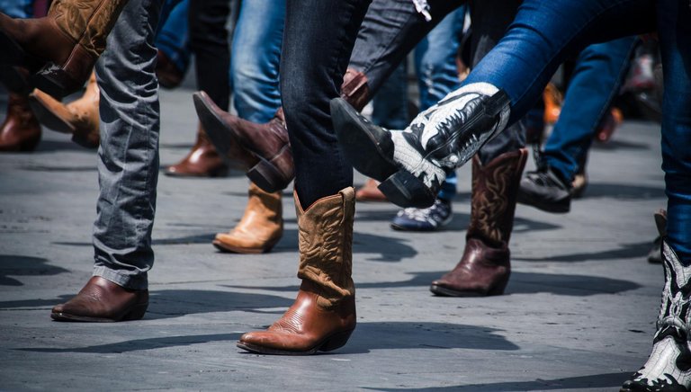 Bild zu Line Dance Party